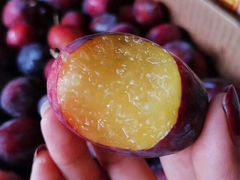 -西郊国际农产品交易中心