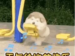 -泰白海鲜烧烤大全