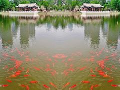 -西海子公园