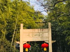 -紫金山天文台