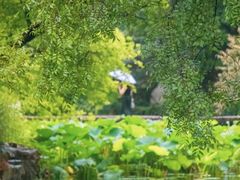 -维乐口腔医院(福清院)