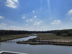 -溱湖国家湿地公园