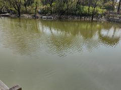 -上海吴淞炮台湾国家湿地公园