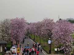 -海珠湖公园