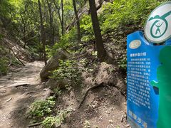 -大岭沟猕猴桃谷风景区