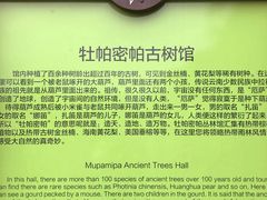 -呀路古热带植物园