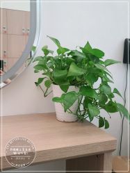 -环球蝶上美业连锁