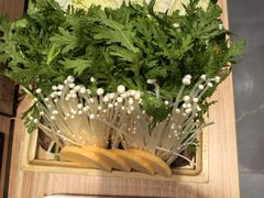 -蝎王府羊蝎子(西直门店)