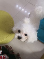 -肌理言健康美肌驻颜所