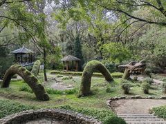 -沈阳植物园