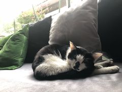 -虚荣精酿酒屋(五羊店)