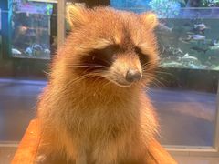 -常州海昌海洋探索馆