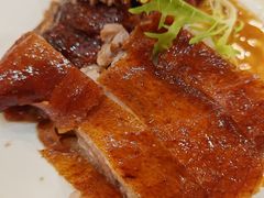 -椿记烧鹅(北门店)