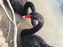 -上海怡沁园度假酒店