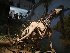 -自贡恐龙博物馆