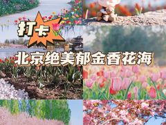 -北京国际鲜花港