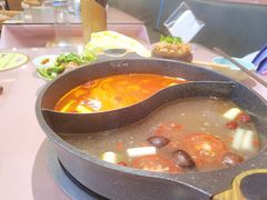 -诗爷牛尾汤(大坪英利店)