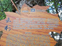 -叠溪松坪沟景区