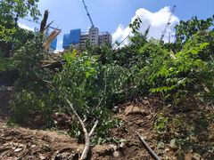 -南京特殊教育师范学院(燕子矶校区)