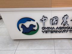 -中国农业大学动物医院