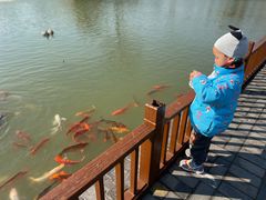 -嬉乐湾休闲旅游区
