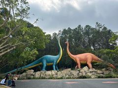 -佛冈森波拉度假区