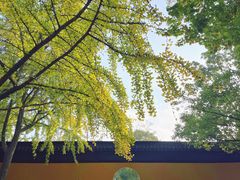 -西园戒幢律寺