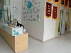 -谐和贝康宠物医院24小时·宠保定点(急重症转诊中心)