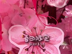 -自然谷恐龙园