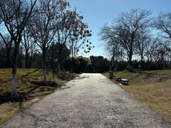 -盘龙城国家考古遗址公园