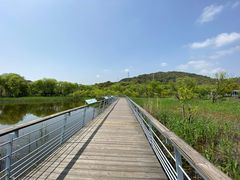 -西湖风景区-江洋畈生态公园