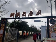 -上海长兴岛郊野公园