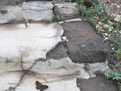 -蟠龙山长城景区