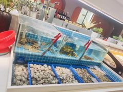 -韩胜·料理级自助烤肉海鲜火锅(财富港店)