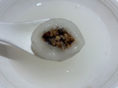 -海丝金凤(金鱼店)