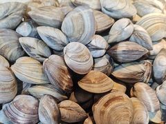 -圣罗巴海鲜烤肉自助(佳兆业店)