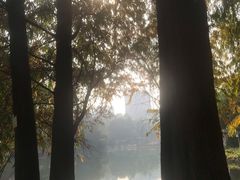-晓港公园