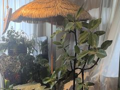 -Thai Basil罗勒叶泰式餐厅(时代天街店)