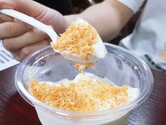 椰汁原味双皮奶-聚椰坊·海南清补凉·糖水·奶茶·小吃