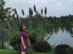 -枫香湖儿童公园