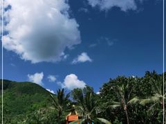 -西双版纳原始森林公园