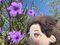 -茶颜悦色(花园道店)