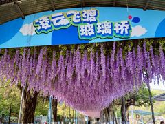 -盈香心动乐园