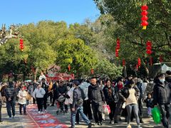 -溪口-滕头旅游景区