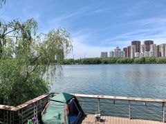 -长白岛森林公园