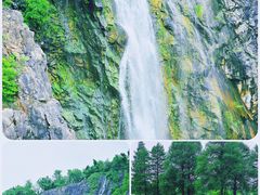 -上海辰山植物园