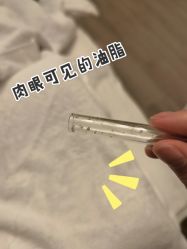 -BELLAREAL新美社