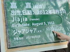 -上海野生动物园