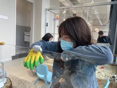 -怪兽屋·羊驼·猫咖·狗咖(俊华广场店)