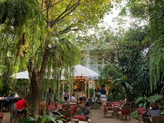 -Fern Forest Cafe